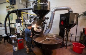 مراحل تولید قهوه – از مزرعه تا فنجان